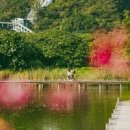 (주)버드레터 이미지