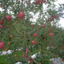 김태경 농장 이미지