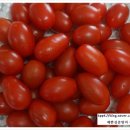 덕명농장 네이버블로그