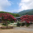 표충사 - 1903 | 표충사