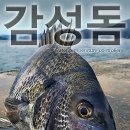 조부장바다낚시터 이미지