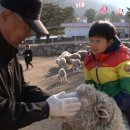 준영목장 네이버블로그
