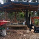 숲속의 농장 이미지