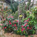 베스트(236) 이미지