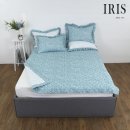 아이리스 이미지