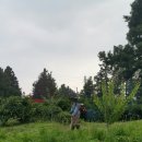 상상농장 이미지