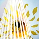 사진예술 이미지