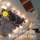 아트샤인 이미지