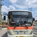 북안면-임포1리-22 | 영천좌석버스 영천교통 753번 6371호