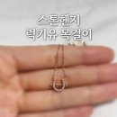 럭키유 | 후기ㅣ스톤헨지 럭키유 말발굽 목걸이 : 4년 착용기