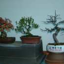 계림다방 이미지