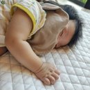 풀그리다 이미지