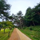 왕의 숨결을 만나다, 경기도 여주 &#39;세종대왕 영릉&#39;에 다녀왔어요