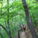 대원사계곡 이미지