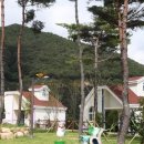 달음산자연휴양림 코리아플러스