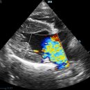 내포동물의료센터 이미지