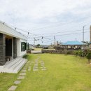 빈도롱이가 이미지