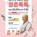 톡톡라이브