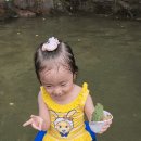 보은장 이미지