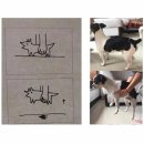 개와고양이 이미지