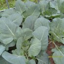 무지개횟집 이미지