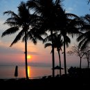 하이야트 이미지