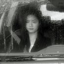 메디하임 이미지