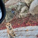 부안 애뜰 펜션 이미지