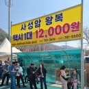 23/03/19~20..남도 꽃축제 여행.(구례 산수유축제 광양 매화축제)