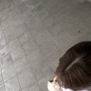 하슬라로 27 이미지