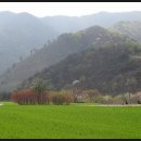 삼율리정류장