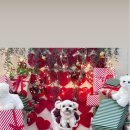 올라펫살롱 이미지