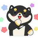 액티브 태권도장 이미지