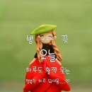 우등곡 Daum카페