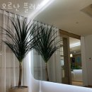 오르난 네이버블로그