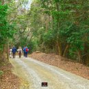 당사도민박 이미지