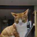 이쁘다 멍 이미지