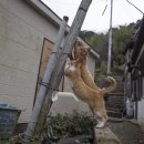 스타벅스 앞 이미지