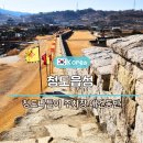 예가애견 | 청도나들이 청도읍성 주차장 애견동반 여부 정보