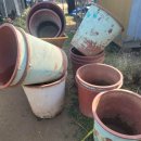 명운농장 이미지