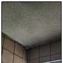 올인모텔 이미지