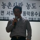 동막용수골마을 Daum카페
