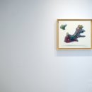 얍 얍 얍 이미지