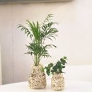 (주)이레팜 이미지