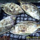 디자인글루