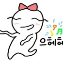 디엠지카페