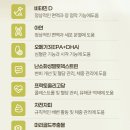 강아지 고양이 필수 유산균 추천! 비마이프렌드 강아지,고양이 유산균 영양제 (노견급여후기)