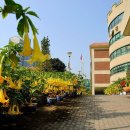 명진초등학교 이미지