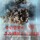 남해갯벌연근