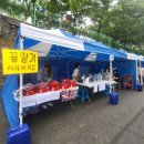 마고델꾸오이오